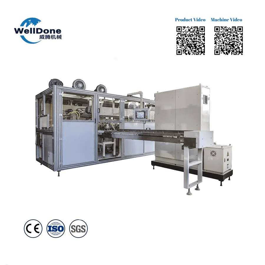 welldone-female-care-packing-machine-automatic-bagging
