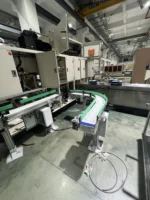welldone-sanitary-pad-packing-machine-curved-conveyor-system-closeup
